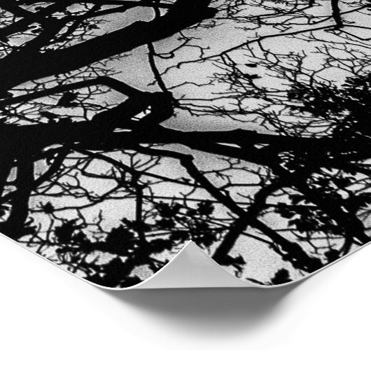 Landscape Black en White Tree Foto Poster (Hoek)