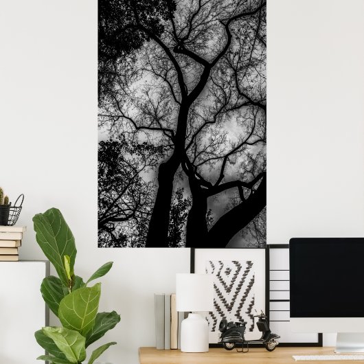 Landscape Black en White Tree Foto Poster (Thuiskantoor)