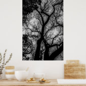 Landscape Black en White Tree Foto Poster (Keuken)