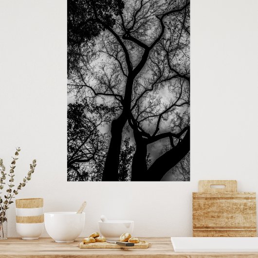 Landscape Black en White Tree Foto Poster (Keuken)