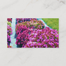 Landscape Designer Profile Card - 