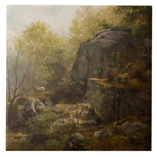 Landscape Near Conway, North Wales (door A.H. Wyan Tegeltje (Voorkant)