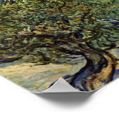 Landscape With Olive Trees By Vincent Van Gogh Poster (Hoek)