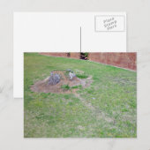 Landscapingideeën om een boomschoen te Hoesjes Briefkaart (Voorkant / Achterkant)