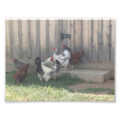 Landscène Foto Afdruk (Voorkant)