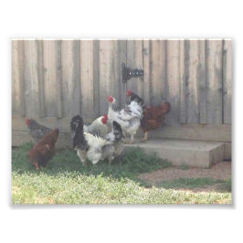 Landscène Foto Afdruk