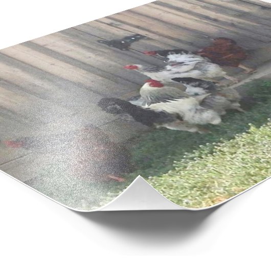 Landscène Foto Afdruk (Hoek)