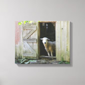 Landschaap Canvas Afdruk (Voorkant)