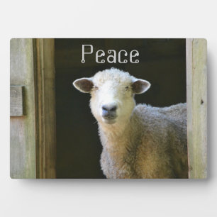 Landschaap Fotoplaat