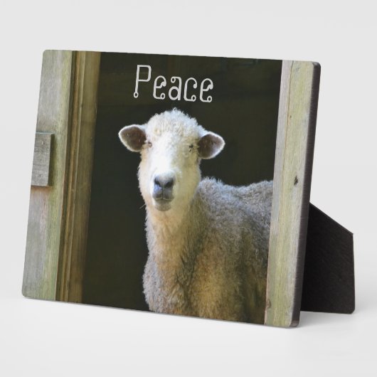 Landschaap Fotoplaat (Zijkant)