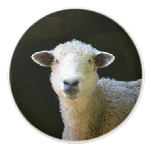 Landschaap Keramische Knop (Voorkant)