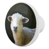Landschaap Keramische Knop (Rechts)