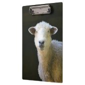 Landschaap Klembord (Links)