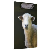 Landschaap Klembord (Rechts)