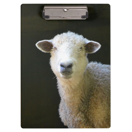 Landschaap Klembord (Voorkant)