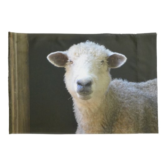 Landschaap Kussensloop (Achterkant-Rechts)