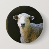 Landschaap Ronde Button 7,6 Cm (Voorkant)