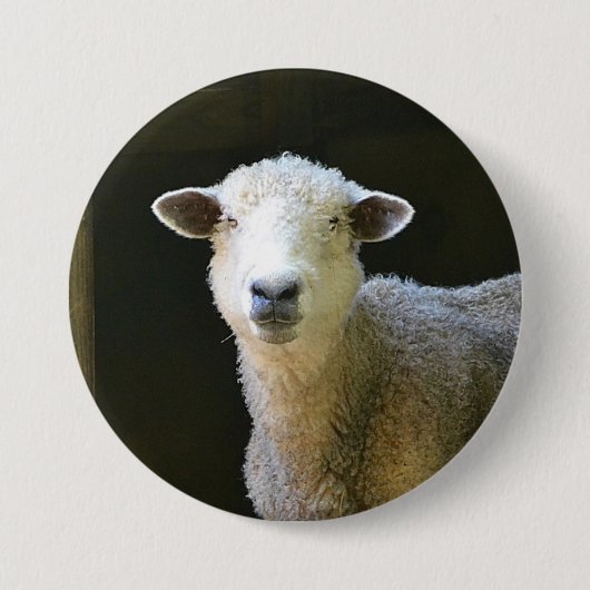 Landschaap Ronde Button 7,6 Cm (Voorkant)