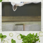 Landschaap Theedoek (Gevouwen)