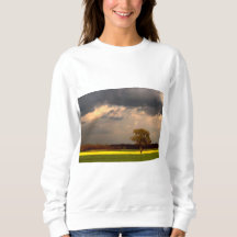 Landschap 11