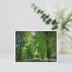 Landschap 1 Briefkaart
