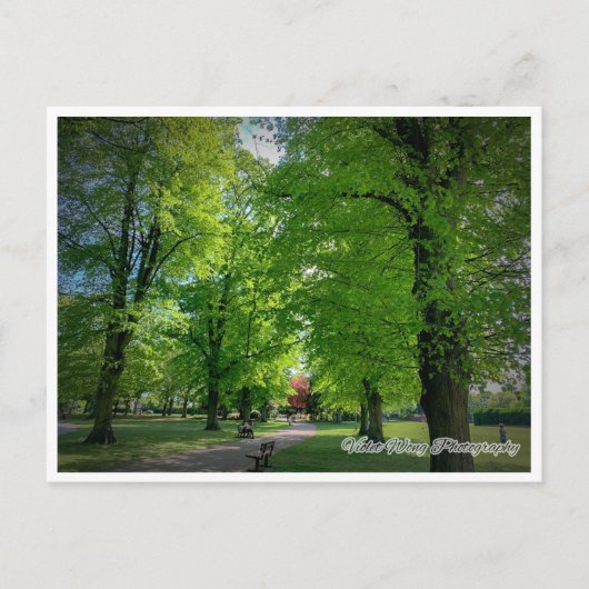 Landschap 1 Briefkaart (Voorkant)