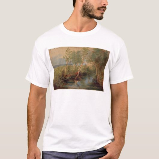 Landschap 2 t-shirt (Voorkant)