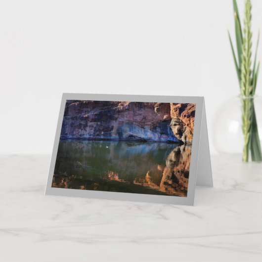 Landschap 49 Zonnige de rivier witte eend van Kaart (Voorkant)