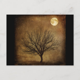 landschap-680226 DARK BROWN BACKGROUND BLACK TREE  Briefkaart
