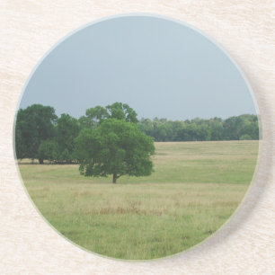 Landschap Alabama Zandsteen Onderzetter