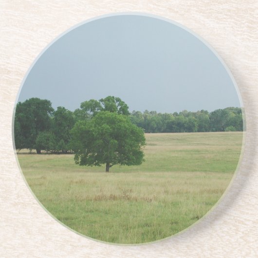 Landschap Alabama Zandsteen Onderzetter (Voorkant)