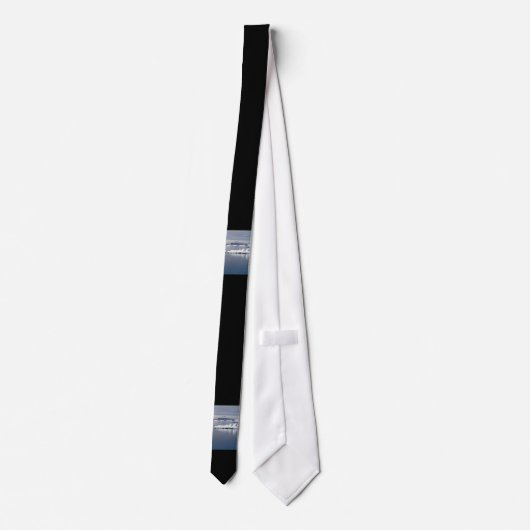 Landschap Antarctica Stropdas (Achterkant)