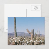 Landschap Arizona Briefkaart Desert Cacti (Voorkant / Achterkant)