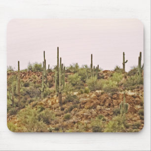 Landschap Arizona cactus Muismat