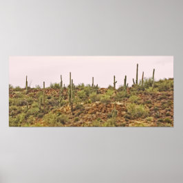 Landschap Arizona cactus Poster