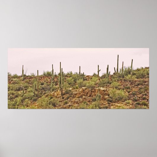 Landschap Arizona cactus Poster (Voorkant)