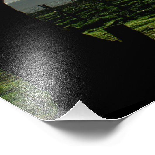 Landschap Barossa Valley Foto Afdruk (Hoek)