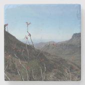 Landschap Big Bend Park-Ocotillo Stenen Onderzetter (Voorkant)