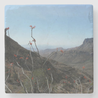 Landschap Big Bend Park-Ocotillo Stenen Onderzetter