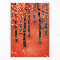 Landschap Birch Forest