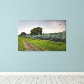 Landschap Blauwe Agave Canvas Afdruk (Insitu (Houten vloer))