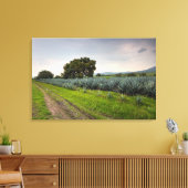 Landschap Blauwe Agave Canvas Afdruk (Insitu (Woonkamer))