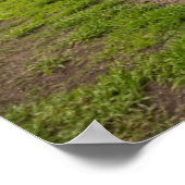 Landschap Blauwe Agave Poster (Hoek)