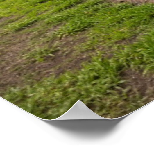 Landschap Blauwe Agave Poster (Hoek)