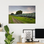 Landschap Blauwe Agave Poster (Thuiskantoor)