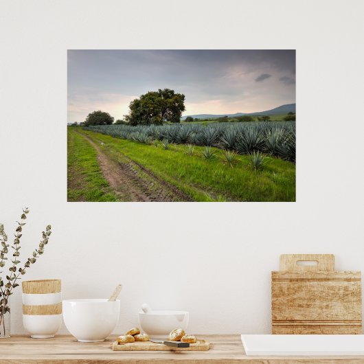 Landschap Blauwe Agave Poster (Keuken)