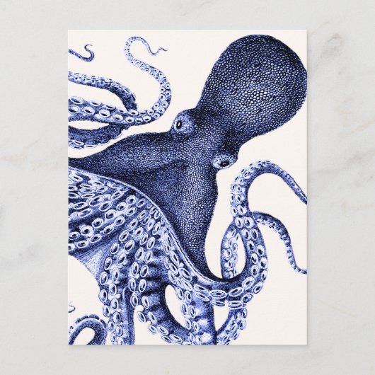 Landschap Blue Octopus Briefkaart (Voorkant)