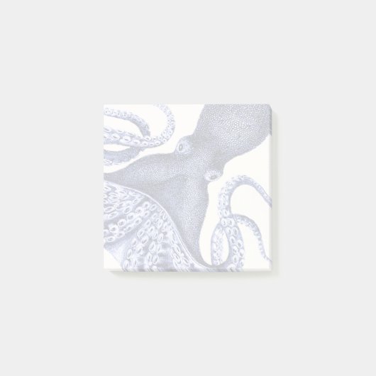 Landschap Blue Octopus Post-it® Notes (Voorkant)