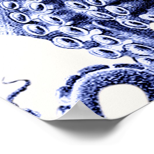 Landschap Blue Octopus Poster (Hoek)