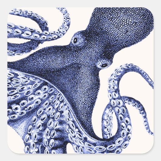 Landschap Blue Octopus Vierkante Sticker (Voorkant)